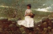 Winslow Homer Peach bloom oil painting on canvas